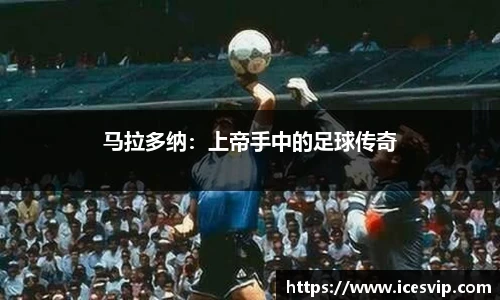 完美体育