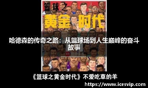完美体育