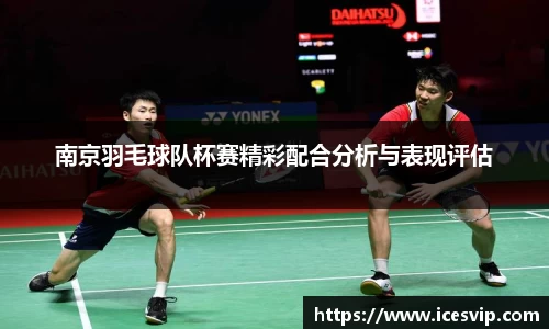 南京羽毛球队杯赛精彩配合分析与表现评估
